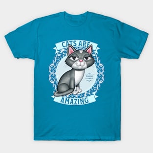 Cute Gray White Kitty Cat on Teal Cats are Amazing T-Shirt